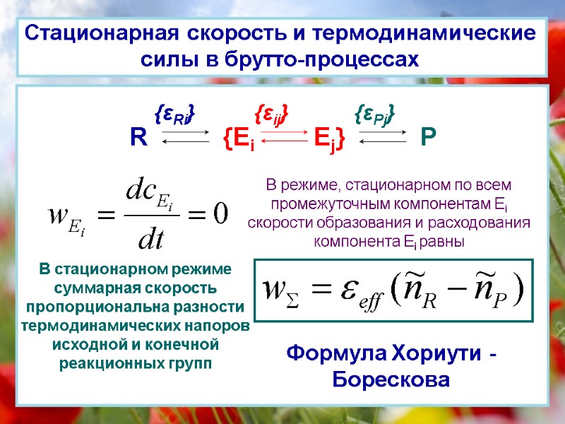 Стационарная скорость и термодинамические силы в брутто-процессах В режиме, стационарном по всем промежуточным компонентам